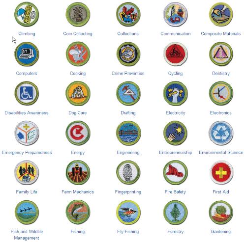 Public Merit Badge List Boy Scout Troop 142 Bardstown Kentucky,Gas Dryer Vs Electric Dryer