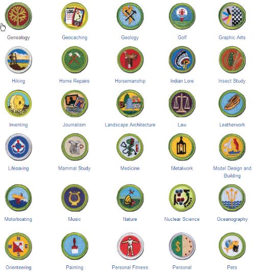 Sports Silver Border Eagle required Merit Badge Boy Scout 